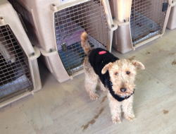 ���i�C���[�W